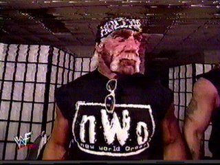 nwo29.jpg (25196 bytes)